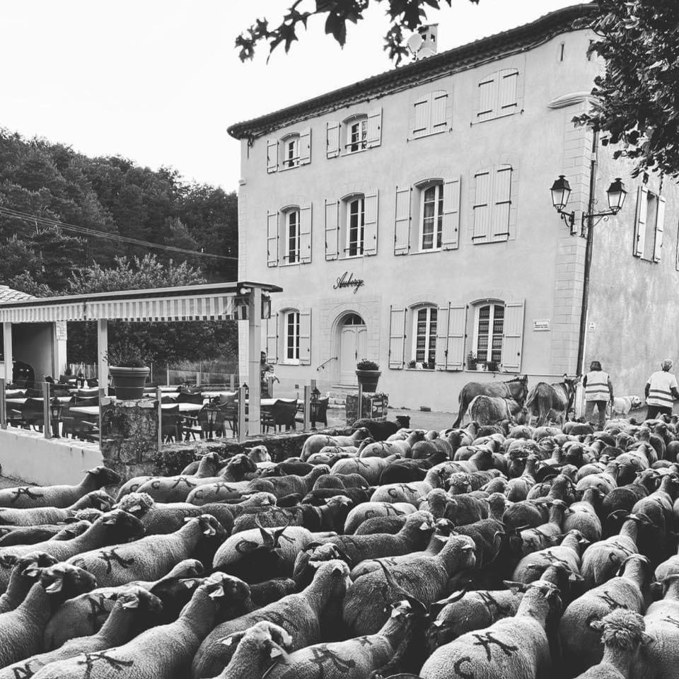 Auberge Du Bourguet Brenon 外观 照片